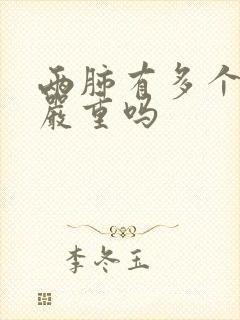 两肺有多个结节严重吗