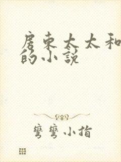 房东太太和阿宾的小说