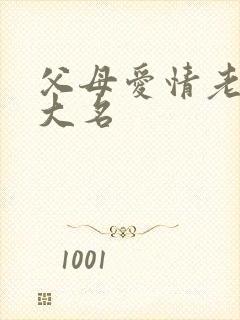 父母爱情老丁的大名封面