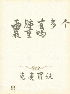 两肺有多个结节严重吗