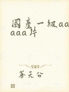 国产一级aaaaaa片