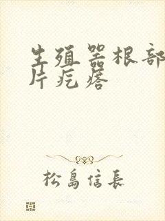 生殖器根部有一片疙瘩