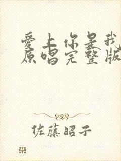 爱上你是我的错原唱完整版