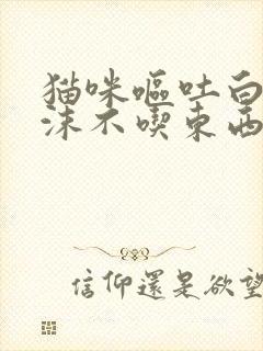 猫咪呕吐白色泡沫不吃东西怎么办