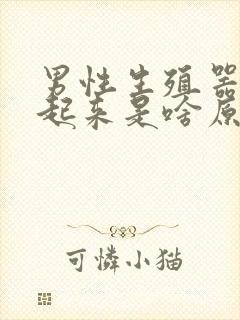 男性生殖器硬不起来是啥原因