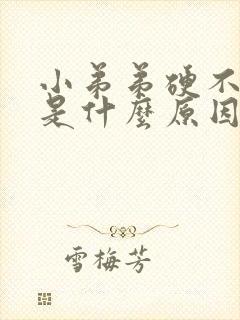 小弟弟硬不起来是什么原因