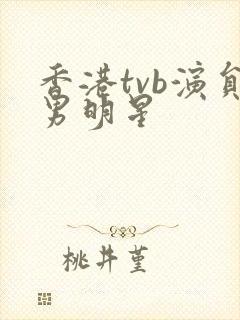 香港tvb演员男明星封面