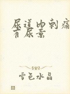 尿道内刺痛一直有尿意