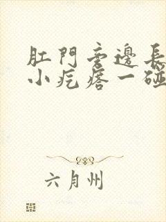 肛门旁边长了个小疙瘩一碰就疼封面