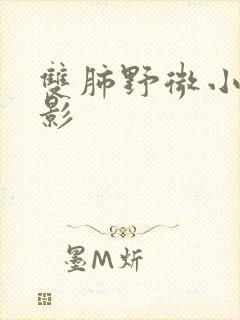 双肺野微小结节影封面