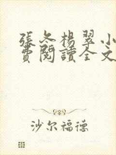 张冬杨翠小说免费阅读全文最新章节封面