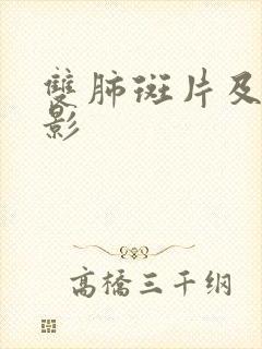 双肺斑片及结节影封面