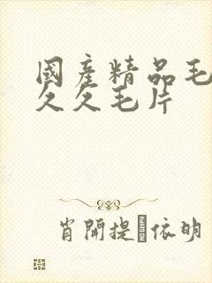 国产精品毛片久久久毛片