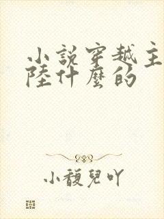 小说穿越主角叫陆什么的