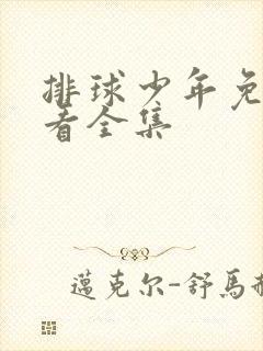 排球少年免费观看全集