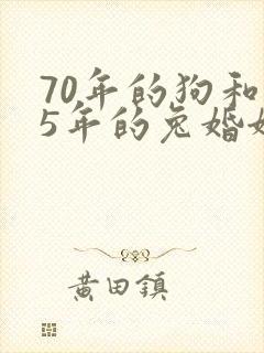 70年的狗和75年的兔婚姻相配吗