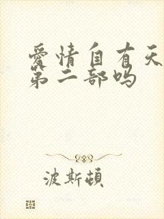 爱情自有天意有第二部吗封面