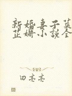 新婚妻子菜老板芷姗小说全集