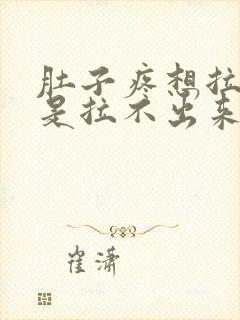 肚子疼想拉屎就是拉不出来怎么回事