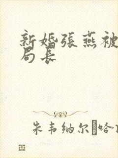 新婚张燕被两个局长封面