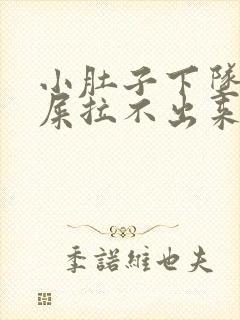 小肚子下坠想拉屎拉不出来怎么回事