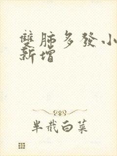 双肺多发小结节新增