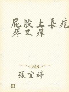 屁股上长疙瘩又疼又痒