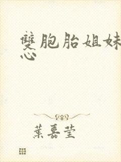 双胞胎姐妹的用心