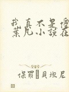 我真不是傻子了叶凡小说在线阅读