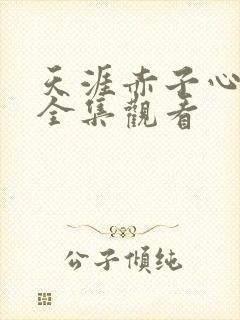 天涯赤子心免费全集观看封面