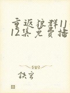 重返狼群11和12集免费播放