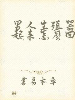 男人生殖器硬不起来怎么回事