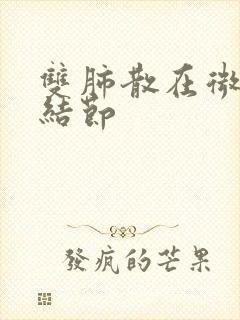 双肺散在微小硬结节