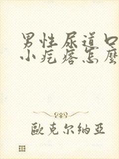 男性尿道口上起小疙瘩怎么回事封面