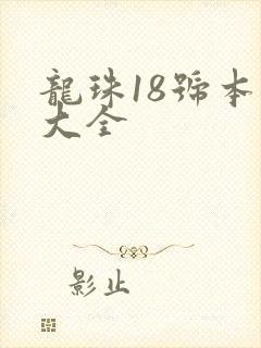 龙珠18号本子大全