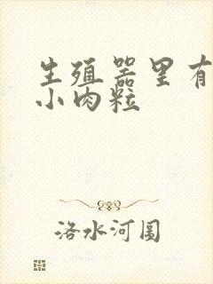 生殖器里有白色小肉粒