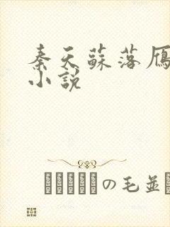 秦天苏落雁张池小说