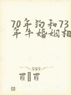 70年狗和73年牛婚姻相配吗