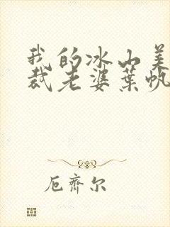 我的冰山美女总裁老婆叶帆