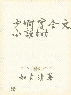 少啊宾全文阅读小说txt