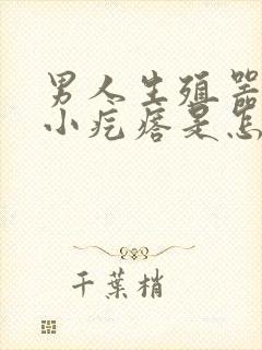 男人生殖器上长小疙瘩是怎么回事封面