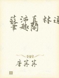 苏沛真 林道 笔趣阁