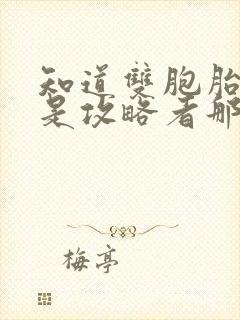 知道双胞胎姐姐是攻略者那天封面