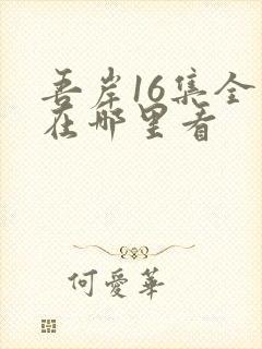 吾岸16集全集在哪里看