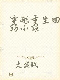 穿越重生回古代的小说