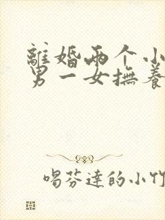 离婚两个小孩一男一女抚养权怎么判定