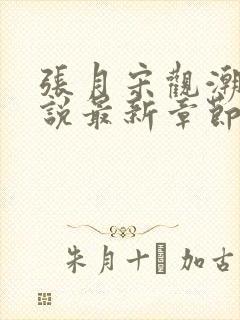 张月宋观潮的小说最新章节免费阅读