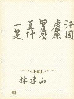 一直冒虚汗头晕是什么原因