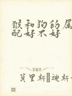 猴和狗的属相婚配好不好