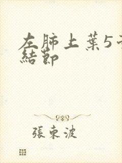 左肺上叶5毫米结节封面